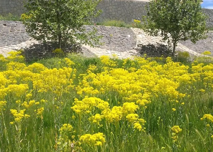 Sublime Appartemnt Dans Les Jardins