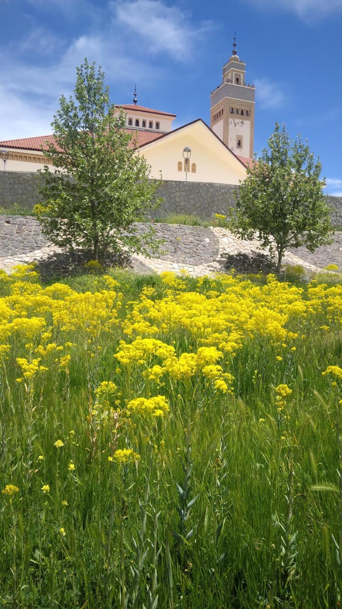 Sublime Appartemnt Dans Les Jardins Ifrane (Ifrane)